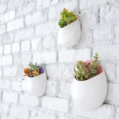 hanging pots for succlents