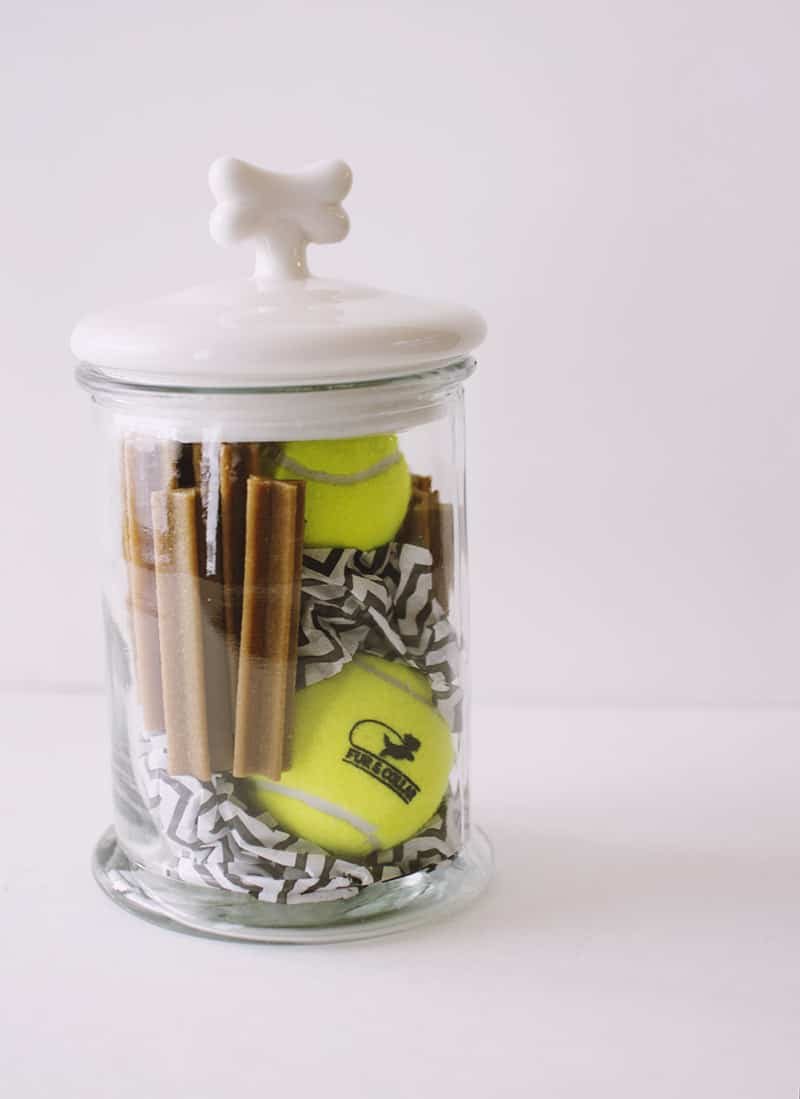jar filled with dog toys and treats