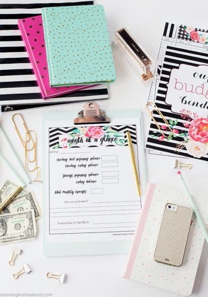 20 Free Printable Budget Templates• Savvy Budget Boss