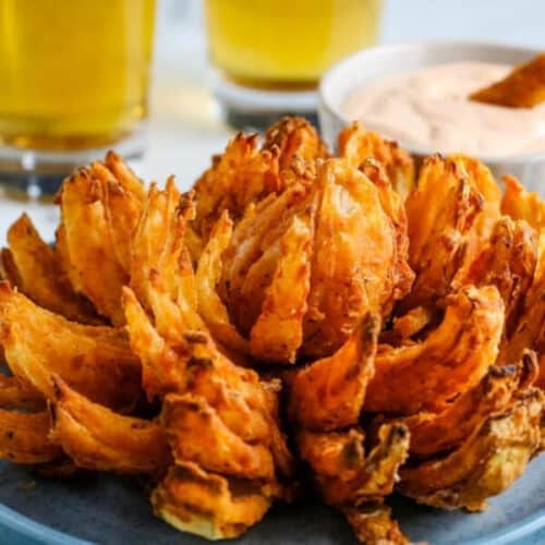 60 Air Fryer Recipes• Savvy Budget Boss