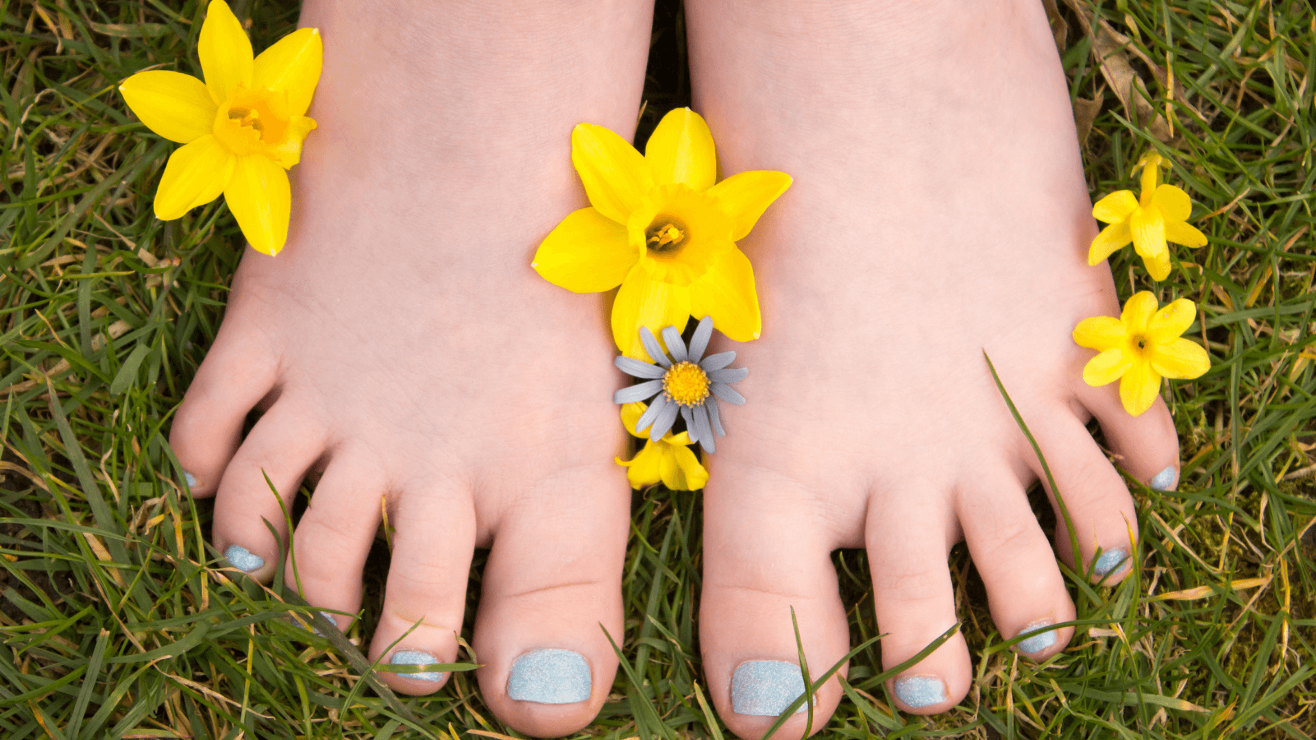 top of woman's bare feet toes spread in grass with flowers blue toenail polish